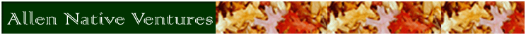 Allen Native Ventures banner