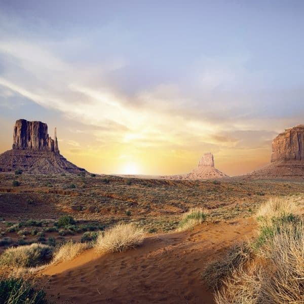 Modern Life in Arizona